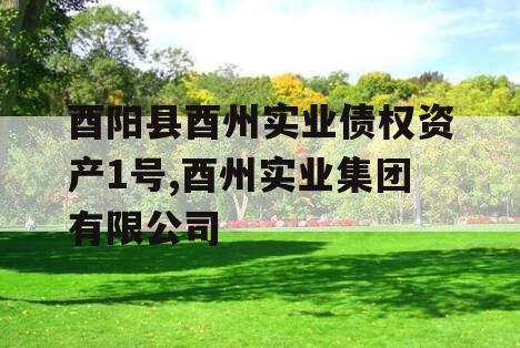 酉阳县酉州实业债权资产1号,酉州实业集团有限公司