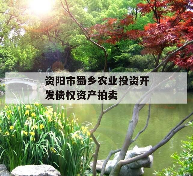 资阳市蜀乡农业投资开发债权资产拍卖