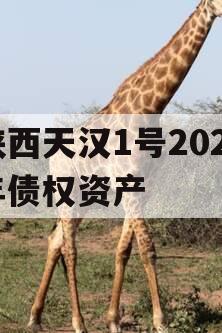 陕西天汉1号2024年债权资产