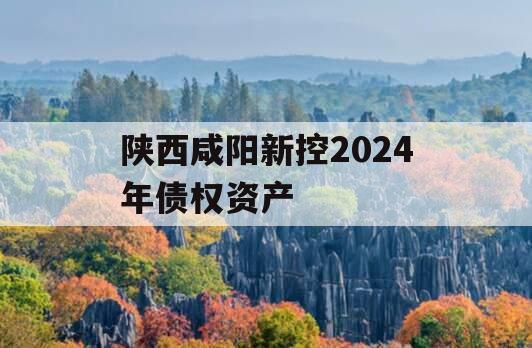 陕西咸阳新控2024年债权资产