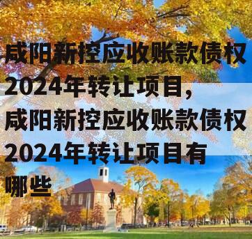 咸阳新控应收账款债权2024年转让项目,咸阳新控应收账款债权2024年转让项目有哪些