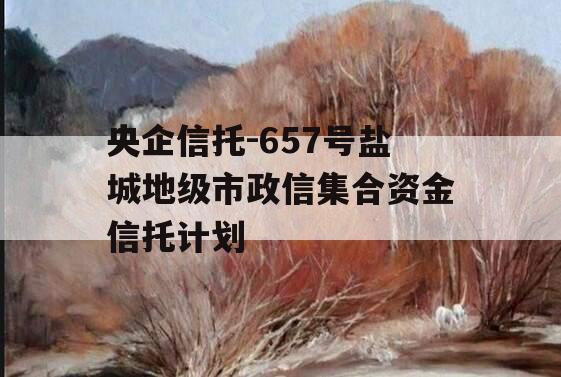央企信托-657号盐城地级市政信集合资金信托计划