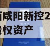 陕西咸阳新控2024年债权资产