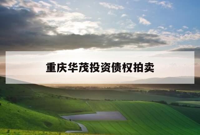 重庆华茂投资债权拍卖