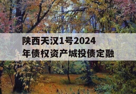 陕西天汉1号2024年债权资产城投债定融