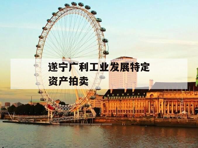 遂宁广利工业发展特定资产拍卖