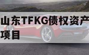 山东TFKG债权资产项目 山东TFKG债权资产项目
