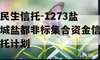 民生信托-1273盐城盐都非标集合资金信托计划