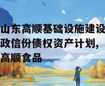 山东高顺基础设施建设政信份债权资产计划,高顺食品