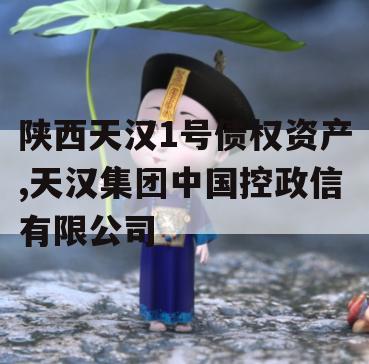 陕西天汉1号债权资产,天汉集团中国控政信有限公司