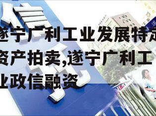 遂宁广利工业发展特定资产拍卖,遂宁广利工业政信融资