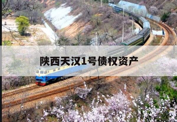 陕西天汉1号债权资产