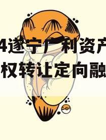2024遂宁广利资产收益权转让定向融资计划