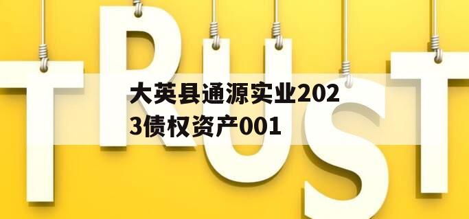 大英县通源实业2023债权资产001