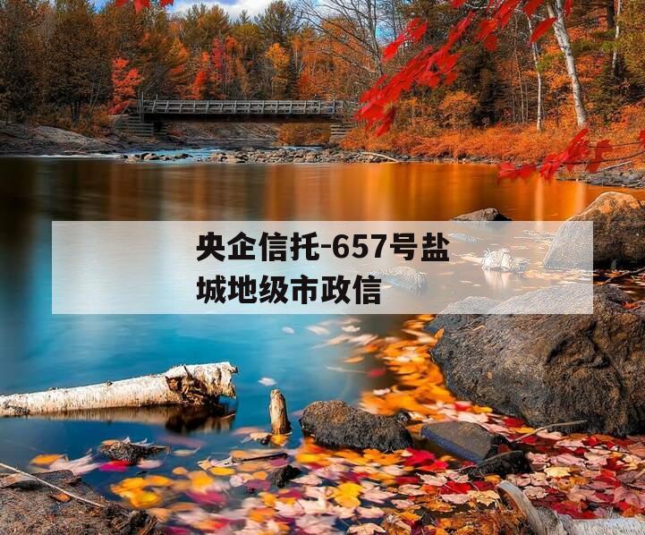央企信托-657号盐城地级市政信