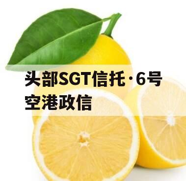 头部SGT信托·6号空港政信