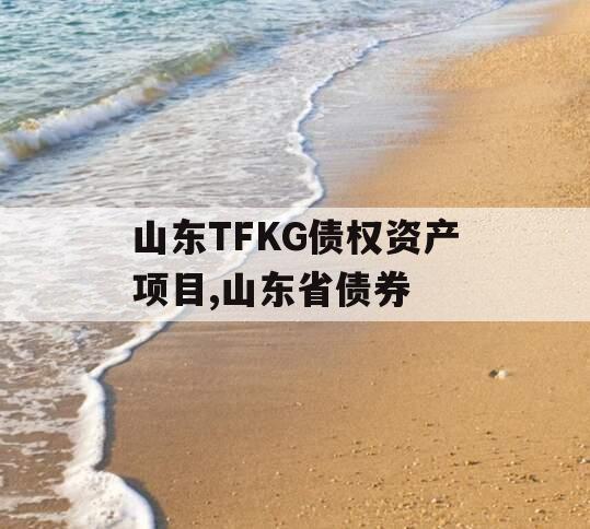 山东TFKG债权资产项目,山东省债券