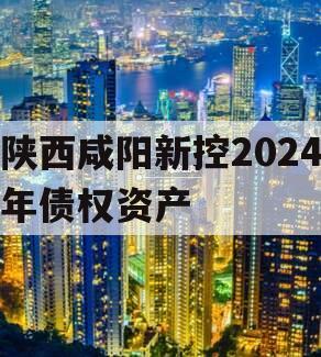 陕西咸阳新控2024年债权资产