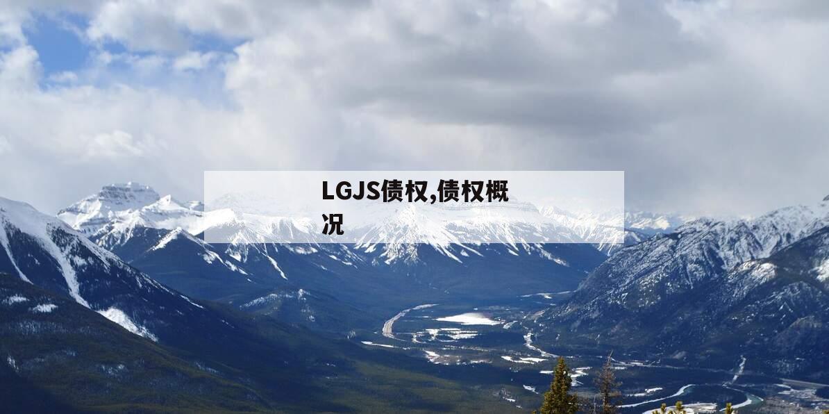 LGJS债权,债权概况