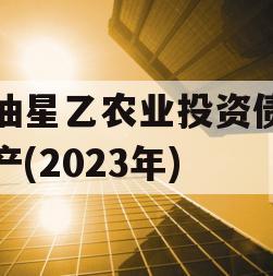 江油星乙农业投资债权资产(2023年)