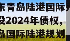 山东青岛陆港国际开发建设2024年债权,青岛国际陆港规划