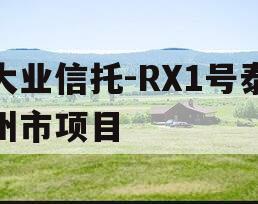 大业信托-RX1号泰州市项目