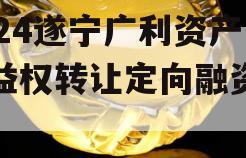 2024遂宁广利资产收益权转让定向融资计划 2024遂宁广利资产收益权转让定向融资计划