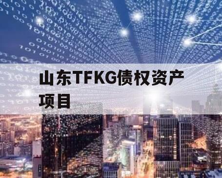 山东TFKG债权资产项目 山东TFKG债权资产项目