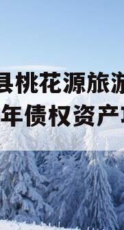 酉阳县桃花源旅游投资2024年债权资产项目
