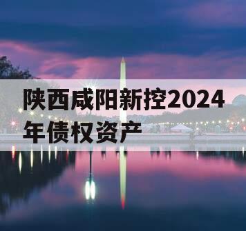 陕西咸阳新控2024年债权资产