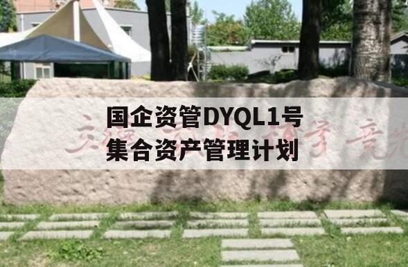 国企资管DYQL1号集合资产管理计划