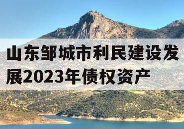 山东邹城市利民建设发展2023年债权资产