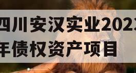 四川安汉实业2023年债权资产项目