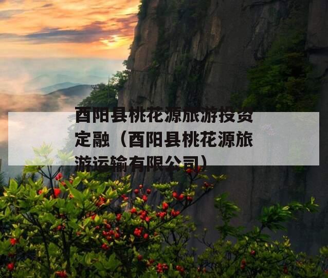 酉阳县桃花源旅游投资定融（酉阳县桃花源旅游运输有限公司）