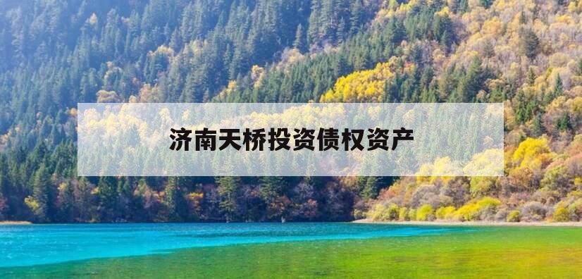 济南天桥投资债权资产