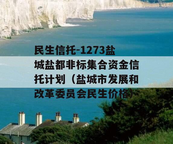 民生信托-1273盐城盐都非标集合资金信托计划（盐城市发展和改革委员会民生价格）