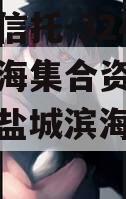 大央企信托-324号盐城滨海集合资金信托计划（盐城滨海政信大投资）