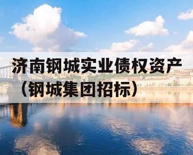 济南钢城实业债权资产（钢城集团招标）