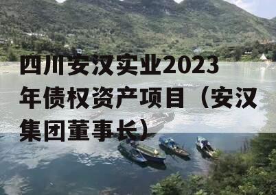 四川安汉实业2023年债权资产项目（安汉集团董事长）