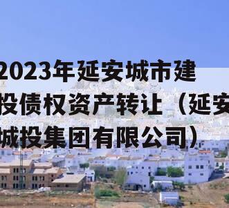 2023年延安城市建投债权资产转让（延安城投集团有限公司）