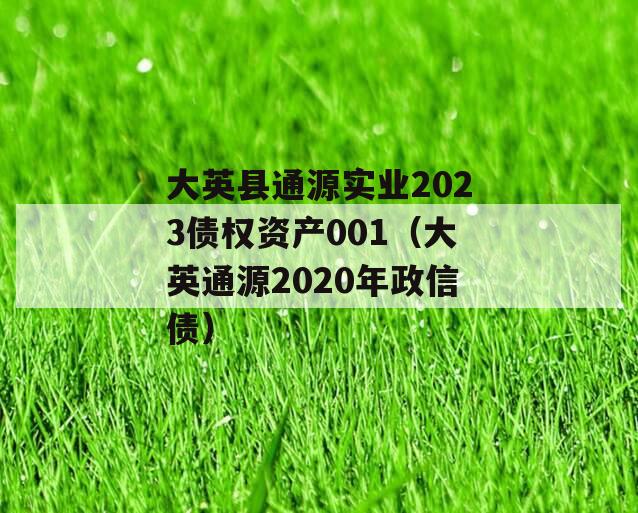 大英县通源实业2023债权资产001（大英通源2020年政信债）