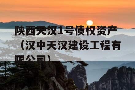 陕西天汉1号债权资产（汉中天汉建设工程有限公司）