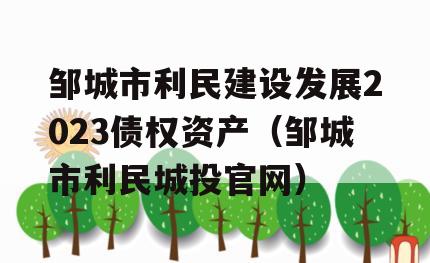 邹城市利民建设发展2023债权资产（邹城市利民城投官网）