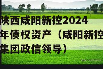 陕西咸阳新控2024年债权资产（咸阳新控集团政信领导）