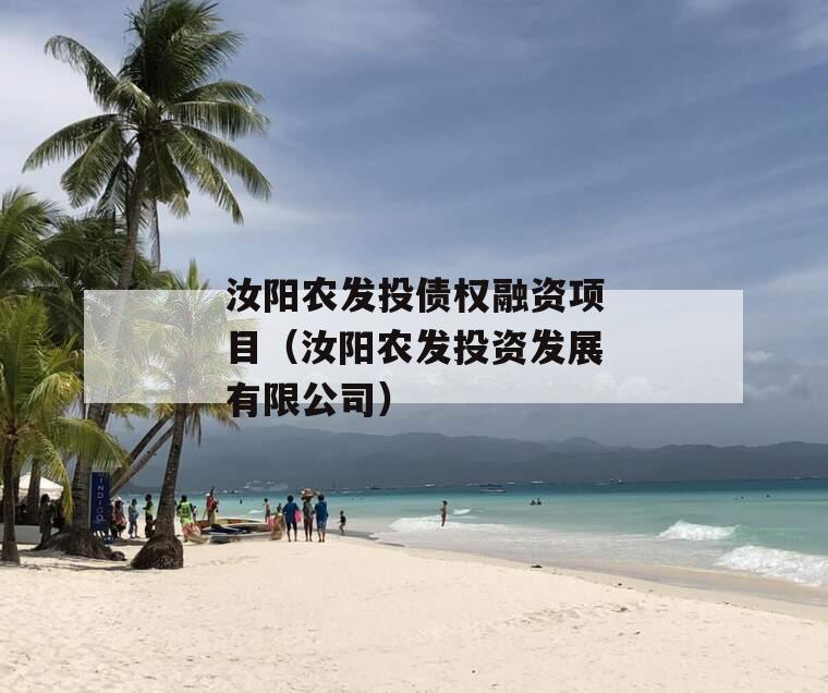 汝阳农发投债权融资项目（汝阳农发投资发展有限公司）