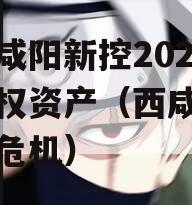 陕西咸阳新控2024年债权资产（西咸新区债务危机）