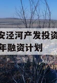 西安泾河产发投资2023年融资计划