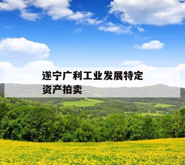 遂宁广利工业发展特定资产拍卖