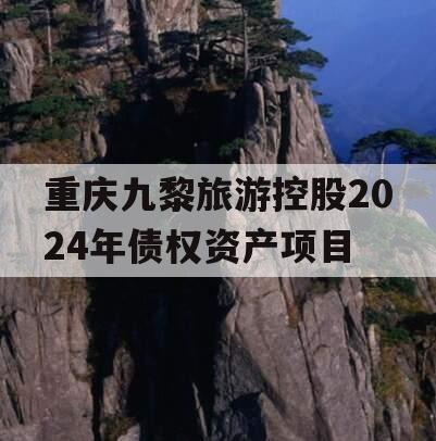 重庆九黎旅游控股2024年债权资产项目