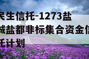民生信托-1273盐城盐都非标集合资金信托计划
